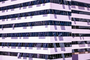 爱游戏APP-体育新闻中心推进体育智库体系建设，体育专题报道